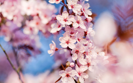 508069 (a): :2560x1600